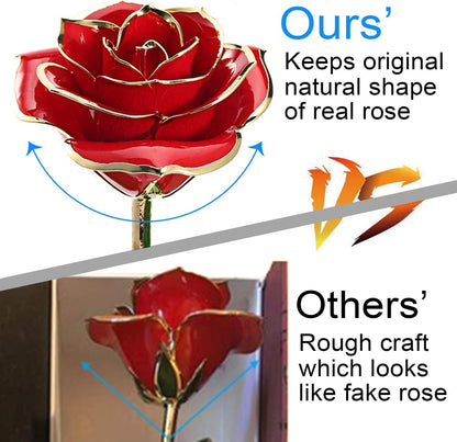 Gold Dipped Rose 24K with Gift Box, Stand & Writable Card – Valentines Day Gift for Her, Wife or Mom, Forever Preserved Rose - Romantic Flower Keepsake, Elegant Gift for Anniversary & Special Moments