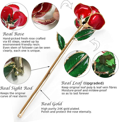 Gold Dipped Infinity Rose - Eternal Resin-Preserved Rose | Forever Flower Decor for Birthdays, Mother’S Day, Anniversaries | Unique Gift for Women, Mom, Wife (Red)